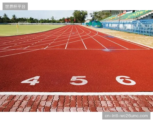 新一代环保塑胶跑道是不是导致青少年跟腱伤暴增的元凶？